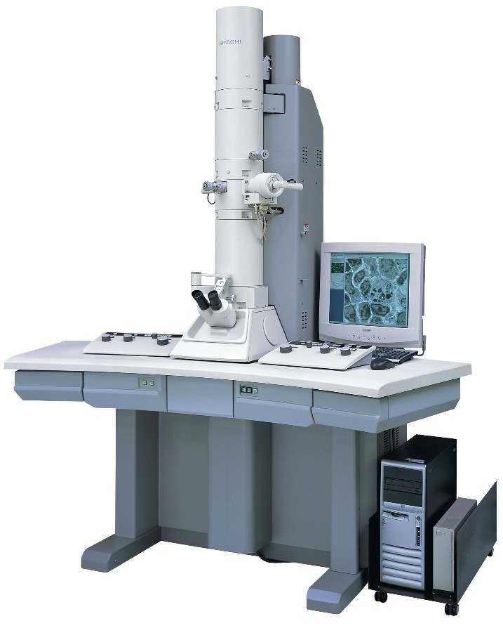 Transmission electron microscopy (TEM)